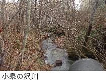 小泉の沢川